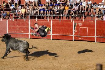 Fotogalería Recortadores Fiestas Prádena 23 Fotografía: Miguel Angel Fernández
