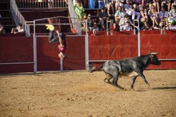 Fotogalería Recortadores Fiestas Prádena 68 Fotografía: Miguel Angel Fernández