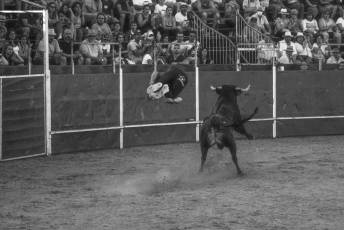 Fotogalería Recortadores Fiestas Prádena 28 Fotografía: Miguel Angel Fernández