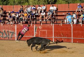 Fotogalería Recortadores Fiestas Prádena 3 Fotografía: Miguel Angel Fernández
