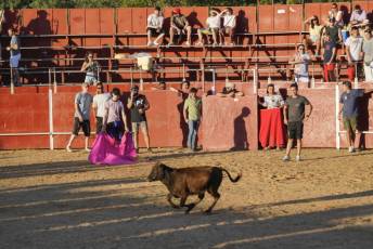 Fotogalería Recortadores Fiestas Prádena 62 Fotografía: Miguel Angel Fernández