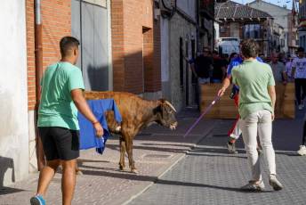 Fotogalería Fiestas en Honor a la Inmaculada Concepción en Cantimpalos 12 Fotografía: Miguel Angel Fernández