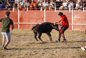 Fotogalería Festival Taurino en Otero de Herreros 100 Fotografía: Miguel Angel Fernández