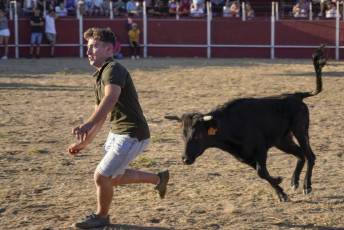 Fotogalería Festival Taurino en Otero de Herreros 96 Fotografía: Miguel Angel Fernández