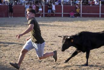 Fotogalería Festival Taurino en Otero de Herreros 110 Fotografía: Miguel Angel Fernández