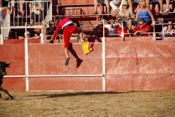 Fotogalería Festival Taurino en Otero de Herreros 67 Fotografía: Miguel Angel Fernández