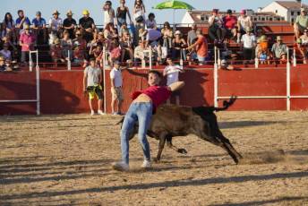 Fotogalería Festival Taurino en Otero de Herreros 47 Fotografía: Miguel Angel Fernández