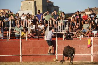Fotogalería Festival Taurino en Otero de Herreros 76 Fotografía: Miguel Angel Fernández