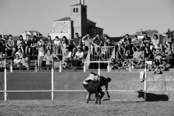 Fotogalería Festival Taurino en Otero de Herreros 11 Fotografía: Miguel Angel Fernández