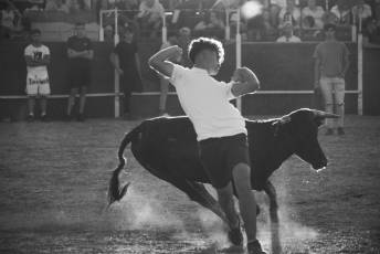 Fotogalería Festival Taurino en Otero de Herreros 58 Fotografía: Miguel Angel Fernández