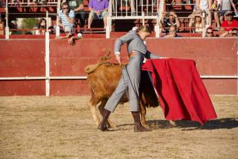 Fotogalería Festival Taurino en Otero de Herreros 10 Fotografía: Miguel Angel Fernández