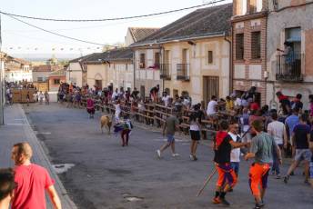 Fotogalería Encierro Tradicional en Sangarcía 22 Fotografía: Miguel Angel Fernández