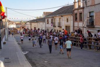 Fotogalería Encierro Tradicional en Sangarcía 7 Fotografía: Miguel Angel Fernández