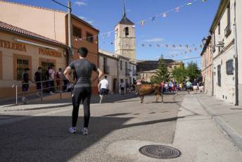 Fotogalería Fiestas en Honor a la Inmaculada Concepción en Cantimpalos 34 Fotografía: Miguel Angel Fernández