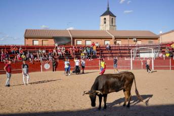Fotogalería Fiestas en Honor a la Inmaculada Concepción en Cantimpalos 5 Fotografía: Miguel Angel Fernández