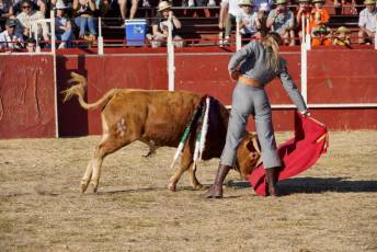 Fotogalería Festival Taurino en Otero de Herreros 66 Fotografía: Miguel Angel Fernández