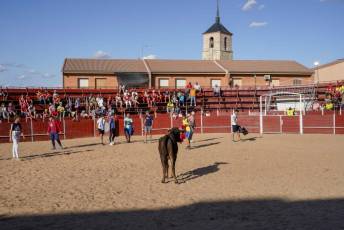 Fotogalería Fiestas en Honor a la Inmaculada Concepción en Cantimpalos 16 Fotografía: Miguel Angel Fernández