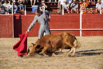 Fotogalería Festival Taurino en Otero de Herreros 89 Fotografía: Miguel Angel Fernández