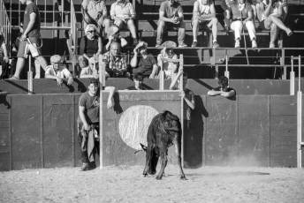 Fotogalería Fiestas en Honor a la Inmaculada Concepción en Cantimpalos 42 Fotografía: Miguel Angel Fernández