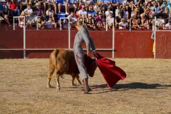 Fotogalería Festival Taurino en Otero de Herreros 109 Fotografía: Miguel Angel Fernández