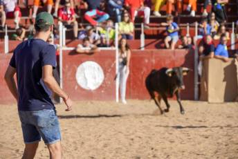 Fotogalería Fiestas en Honor a la Inmaculada Concepción en Cantimpalos 9 Fotografía: Miguel Angel Fernández