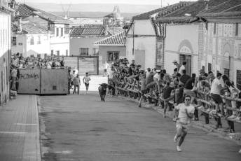 Fotogalería Encierro Tradicional en Sangarcía 31 Fotografía: Miguel Angel Fernández