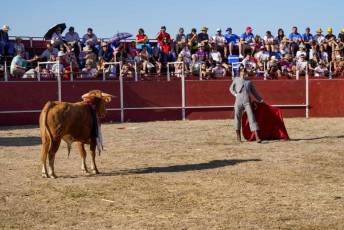 Fotogalería Festival Taurino en Otero de Herreros 77 Fotografía: Miguel Angel Fernández