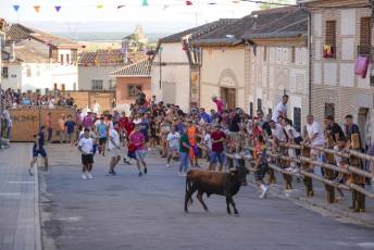 Fotogalería Encierro Tradicional en Sangarcía 17 Fotografía: Miguel Angel Fernández