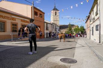 Fotogalería Fiestas en Honor a la Inmaculada Concepción en Cantimpalos 6 Fotografía: Miguel Angel Fernández