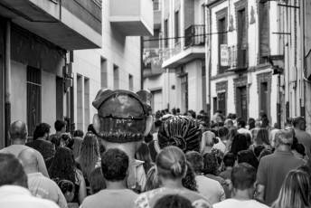 Fotogalería Inicio Fiestas en Cantalejo 28 Fotografía: Miguel Angel Fernández