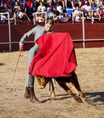 Fotogalería Festival Taurino en Otero de Herreros 27 Fotografía: Miguel Angel Fernández
