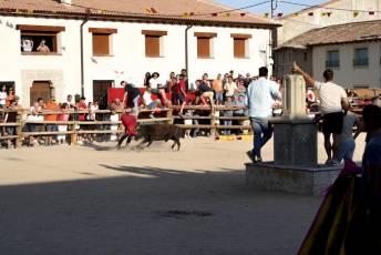 Fotogalería Encierro Tradicional en Sangarcía 13 Fotografía: Miguel Angel Fernández