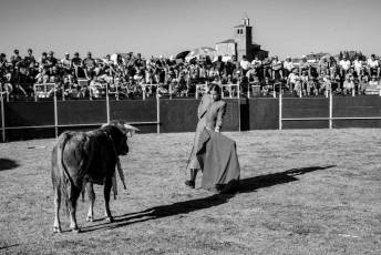 Fotogalería Festival Taurino en Otero de Herreros 40 Fotografía: Miguel Angel Fernández