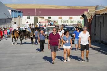 Fotogalería Encierro Tradicional en Sangarcía 2 Fotografía: Miguel Angel Fernández