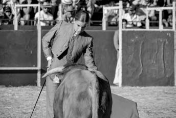 Fotogalería Festival Taurino en Otero de Herreros 92 Fotografía: Miguel Angel Fernández