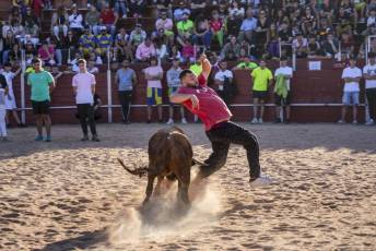 Fotogalería Fiestas en Honor a la Inmaculada Concepción en Cantimpalos 24 Fotografía: Miguel Angel Fernández