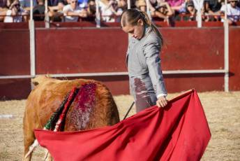 Fotogalería Festival Taurino en Otero de Herreros 48 Fotografía: Miguel Angel Fernández