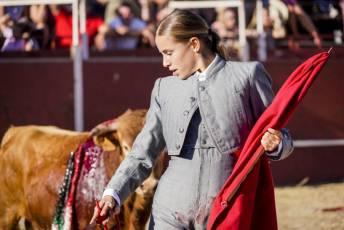 Fotogalería Festival Taurino en Otero de Herreros 22 Fotografía: Miguel Angel Fernández