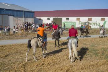 Fotogalería Encierro Tradicional en Sangarcía 10 Fotografía: Miguel Angel Fernández