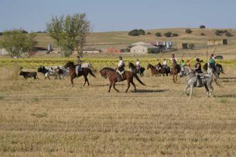 Fotogalería Encierro Tradicional en Sangarcía 27 Fotografía: Miguel Angel Fernández