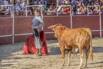 Fotogalería Festival Taurino en Otero de Herreros 5 Fotografía: Miguel Angel Fernández