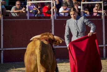 Fotogalería Festival Taurino en Otero de Herreros 95 Fotografía: Miguel Angel Fernández