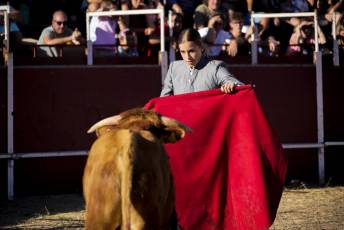 Fotogalería Festival Taurino en Otero de Herreros 82 Fotografía: Miguel Angel Fernández