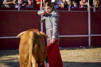 Fotogalería Festival Taurino en Otero de Herreros 68 Fotografía: Miguel Angel Fernández