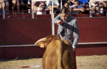 Fotogalería Festival Taurino en Otero de Herreros 78 Fotografía: Miguel Angel Fernández