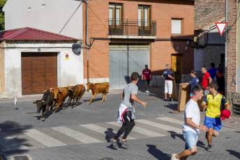 Fotogalería Fiestas en Honor a la Inmaculada Concepción en Cantimpalos 19 Fotografía: Miguel Angel Fernández