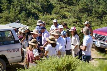 Fotogalería Romería Malangosto 45 Fotografía: Miguel Angel Fernández