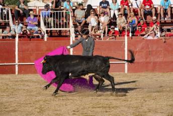 Fotogalería Festival Taurino en Otero de Herreros 2 Fotografía: Miguel Angel Fernández