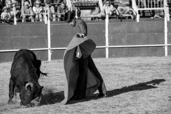 Fotogalería Festival Taurino en Otero de Herreros 97 Fotografía: Miguel Angel Fernández