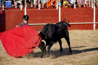 Fotogalería Festival Taurino en Otero de Herreros 14 Fotografía: Miguel Angel Fernández